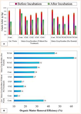 Anaerobic Co-digestion of Catering and Agro-Industrial Waste: A Step Forward Toward Waste Biorefinery